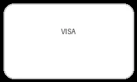 VISA信用卡支付方式图标